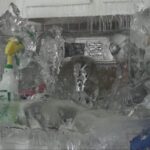 ห้องปราสาทน้ำแข็ง ครอบคลุมทุกมุมในอพาร์ตเมนต์ แคนาดา